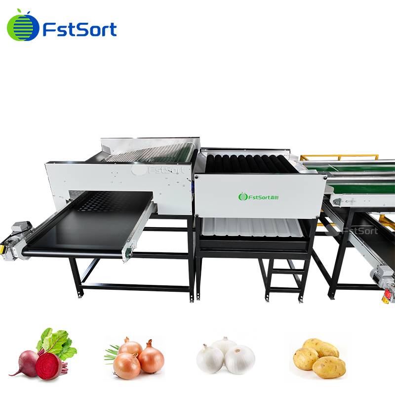 Sorting and Grading of Fruits and Vegetables, Automatic Potato Sorting and Packing System, Onion Sorting Automation