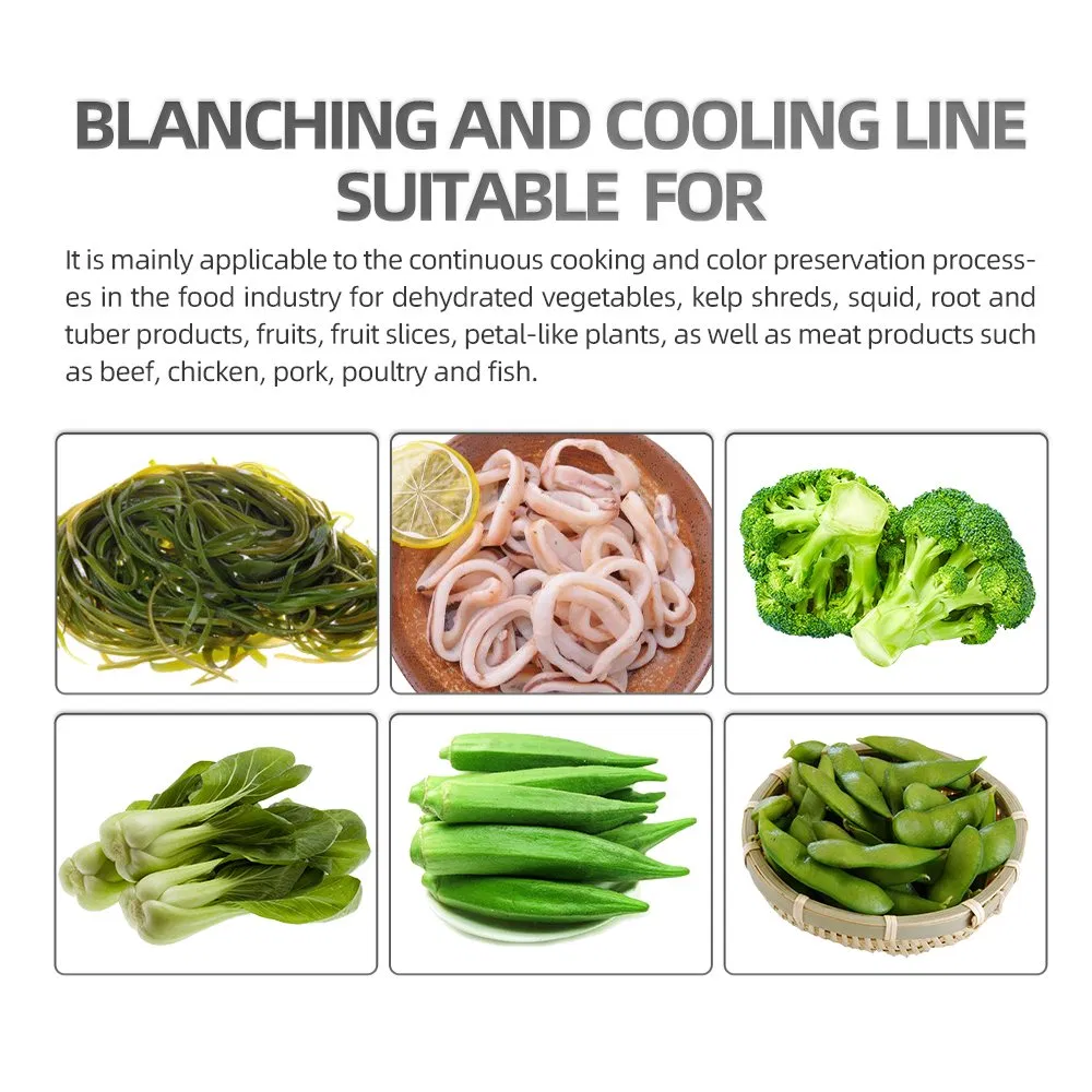 Speed Adjustable Automatic Boiling Electricity Heating Belt Conveyor Blanching Machine Green Beans Blancher Gombo Ou Okral Blanching Line