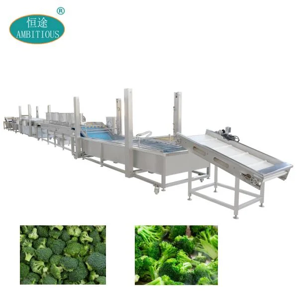 Industrial Automatic Rape Vegetable Processing Line