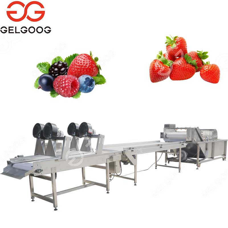 IQF Food Processing Machine IQF Frozen Strawberry Vegetable Fruit Freezing Processing Machine Frozen Fruit and Vegetable Production Line
