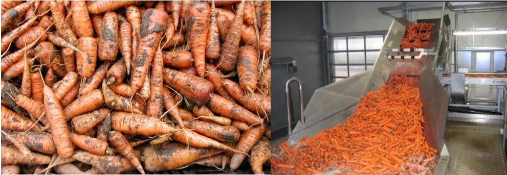 Processing Applications