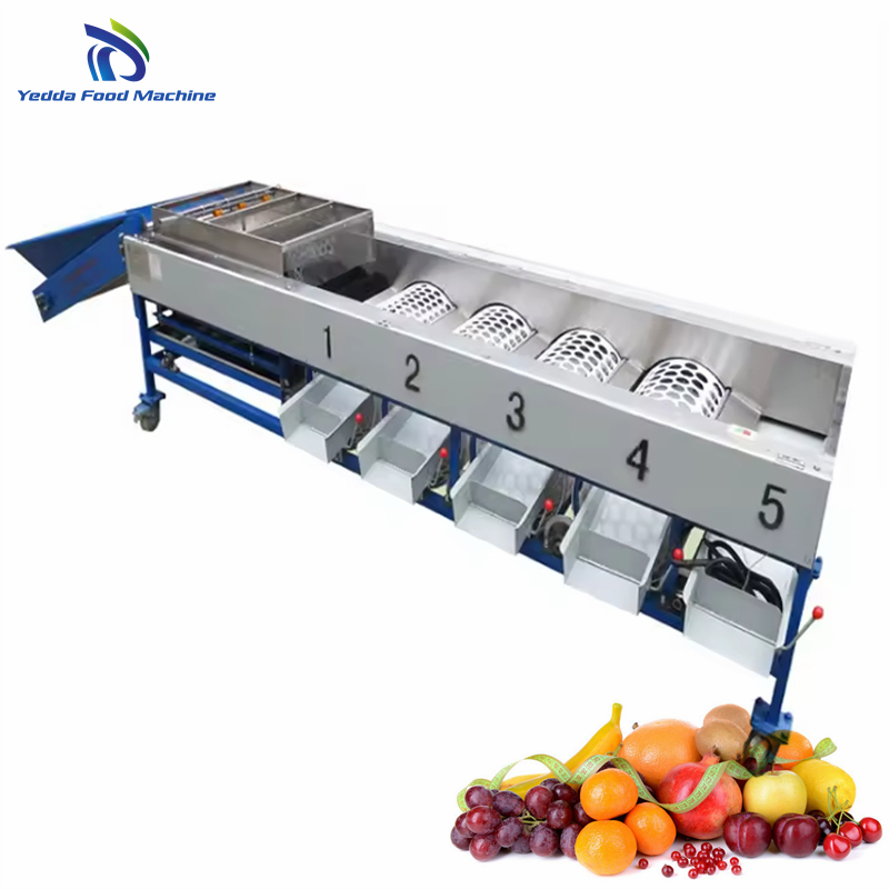 High-Performance Fruit and Vegetable Size Sorting System