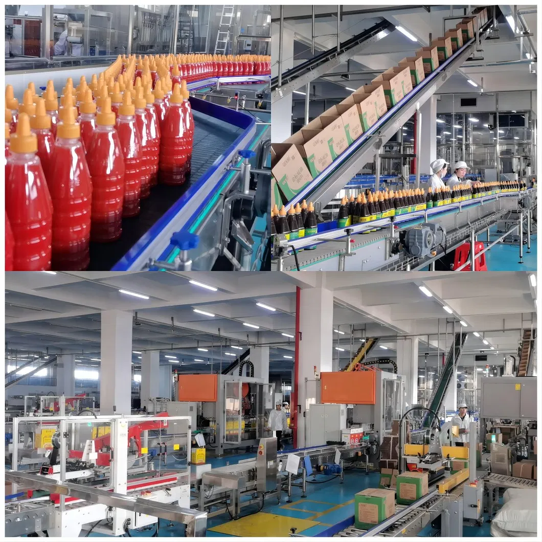 Sauce filling project