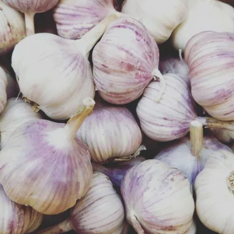 Advanced Cleaning Line Dust Removal Surface Purity Enhanced Normal Pure White/Red Fresh Garlic