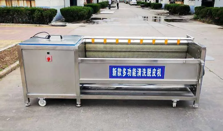 Industrial Potato Washer