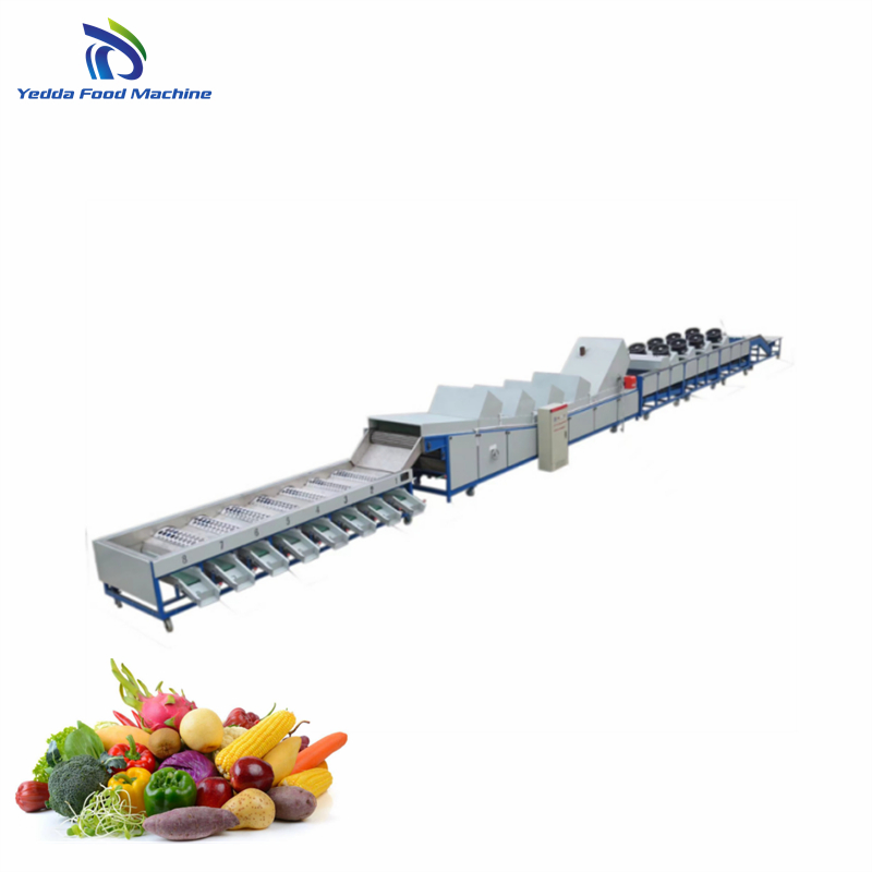 Advanced Automatic Fruit and Vegetable Quality Grading System