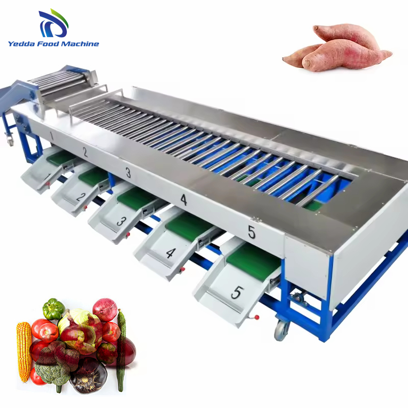 Premium Stainless Steel Produce Sorting System for Efficient Sorting