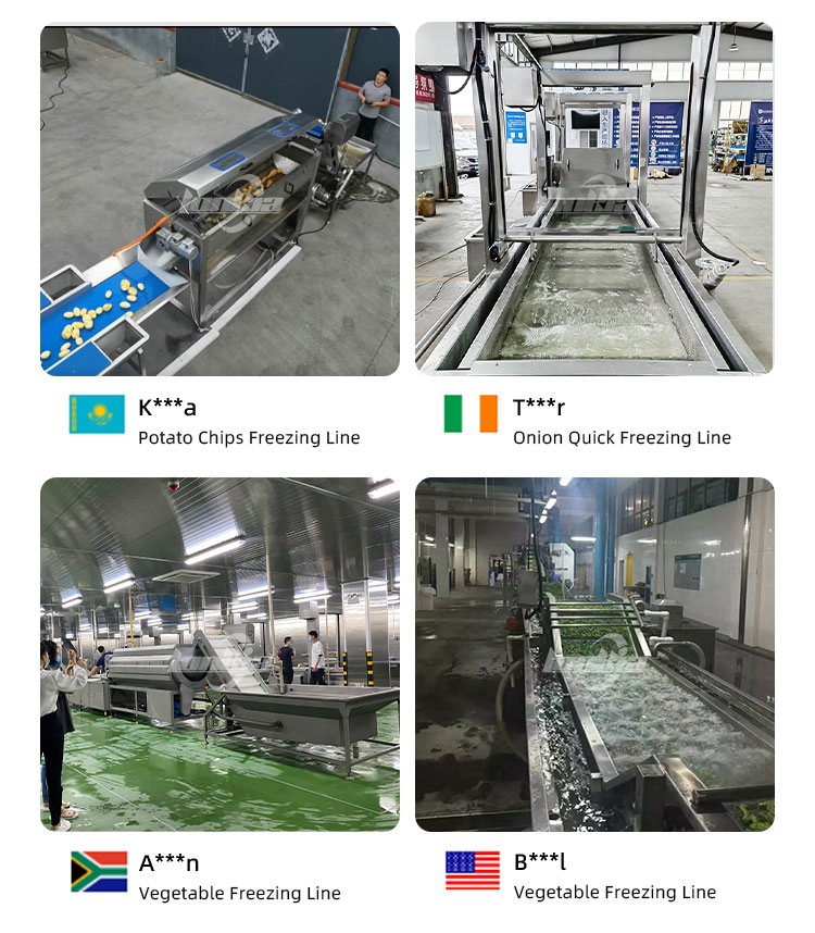 Automatic Frozen Green Pea Processing Line IQF Freezer Quick Freezing Machine Vegetable Freezing Production Line