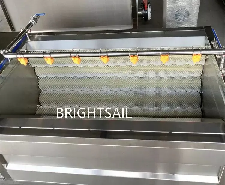 Cleaning Peeling Equipment Detail 1