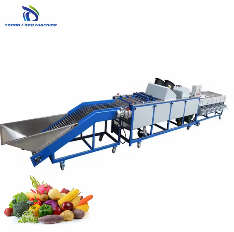 Premium Stainless Steel Produce Sorting System for Efficient Sorting
