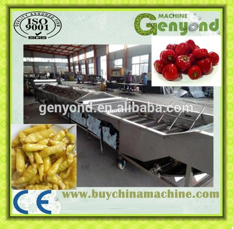 Pickles Production Line Pickled Cucumber Vegetable Processing Plant Making Machine