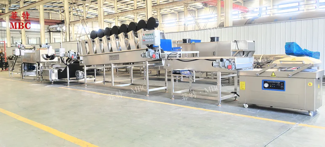 Industrial Washing Peeling Equipment Overview