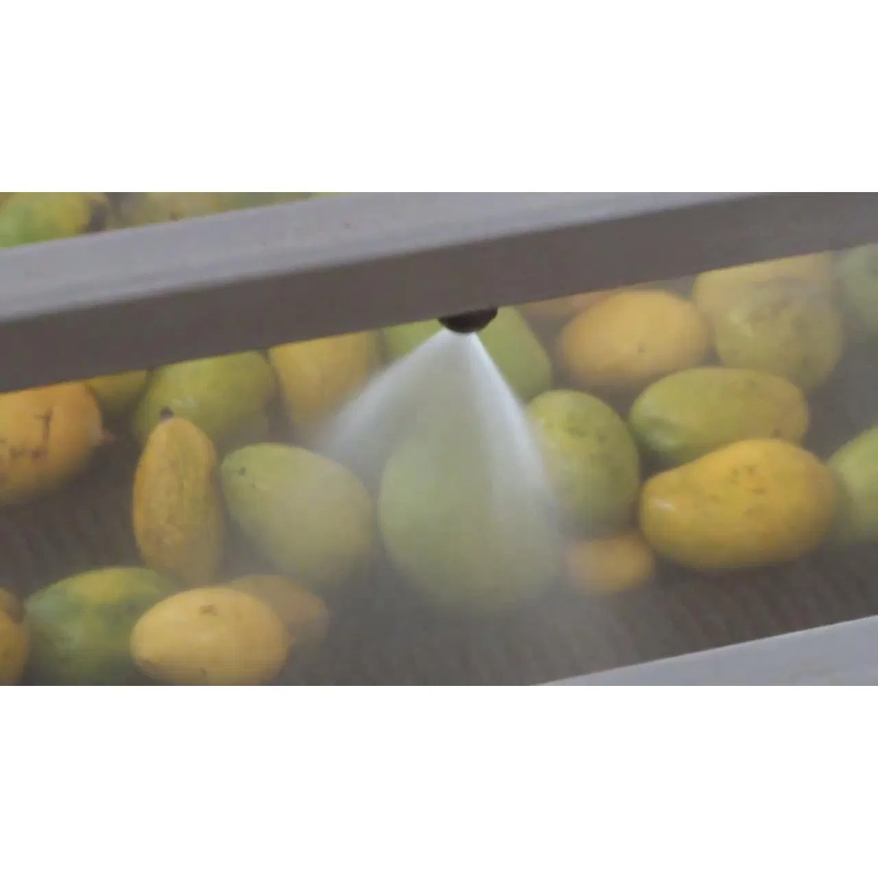 Spray Washers/Fruits and Vegetables Cleaning System