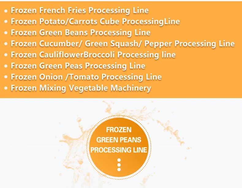 Processing Line Detail 2