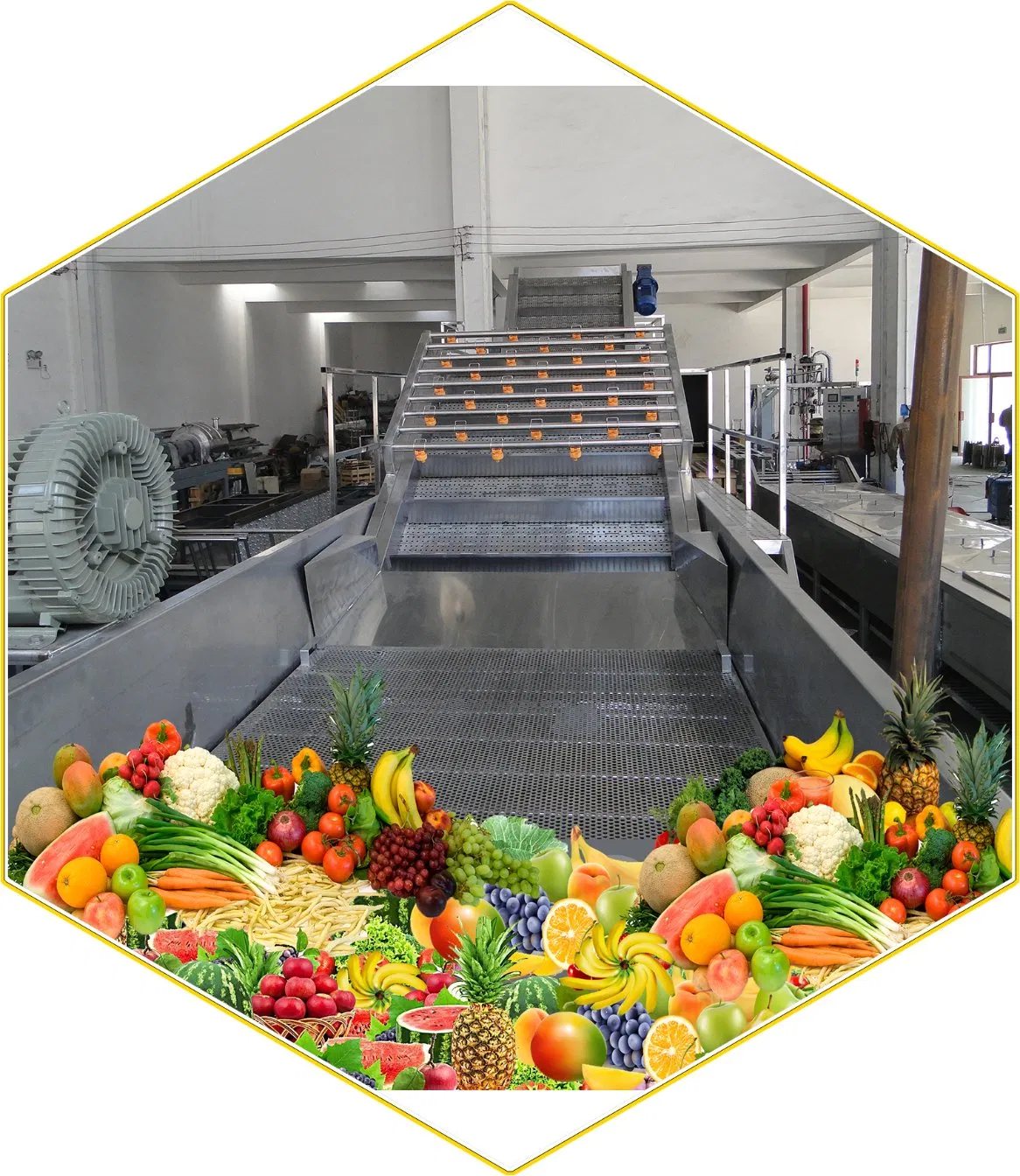 Spray Washers/Fruits and Vegetables Cleaning System
