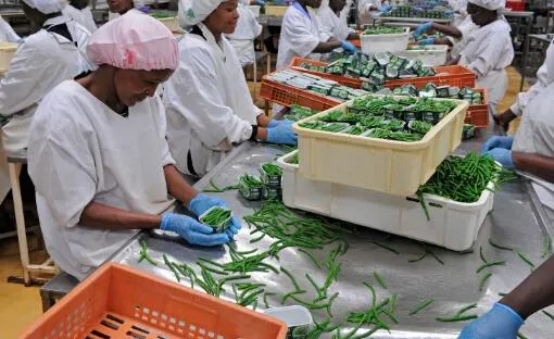 Processing Equipment Detail 2