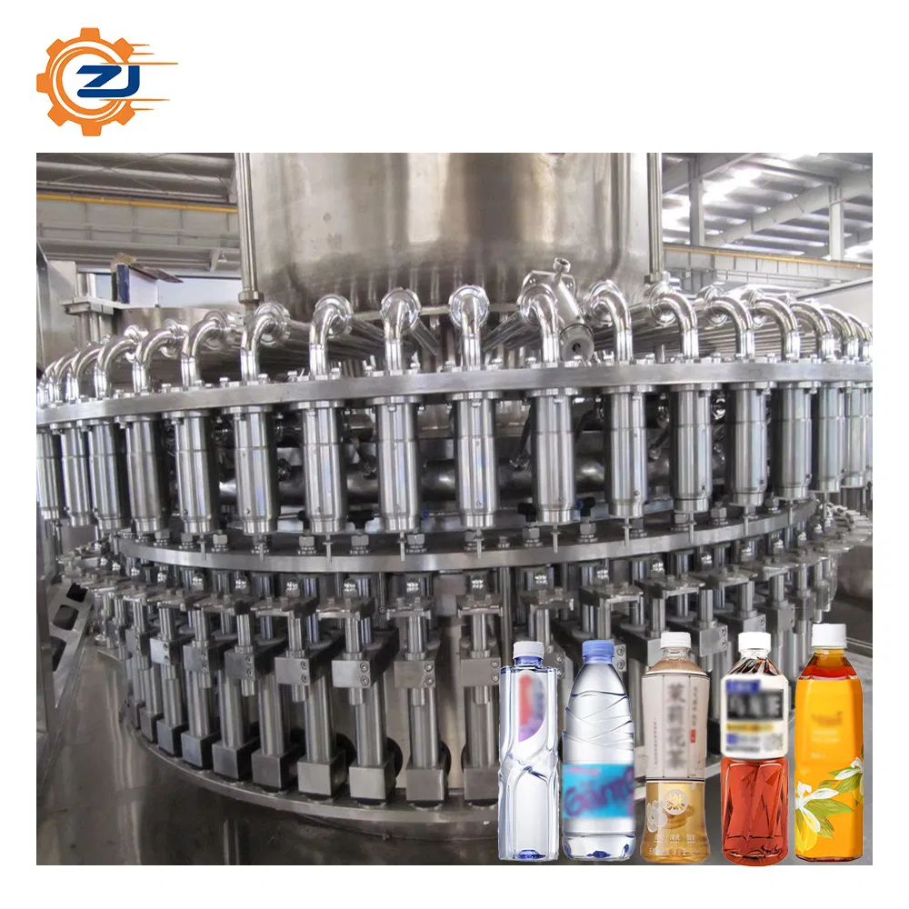 Advanced Fruit and Vegetable Washing and Drying Line System