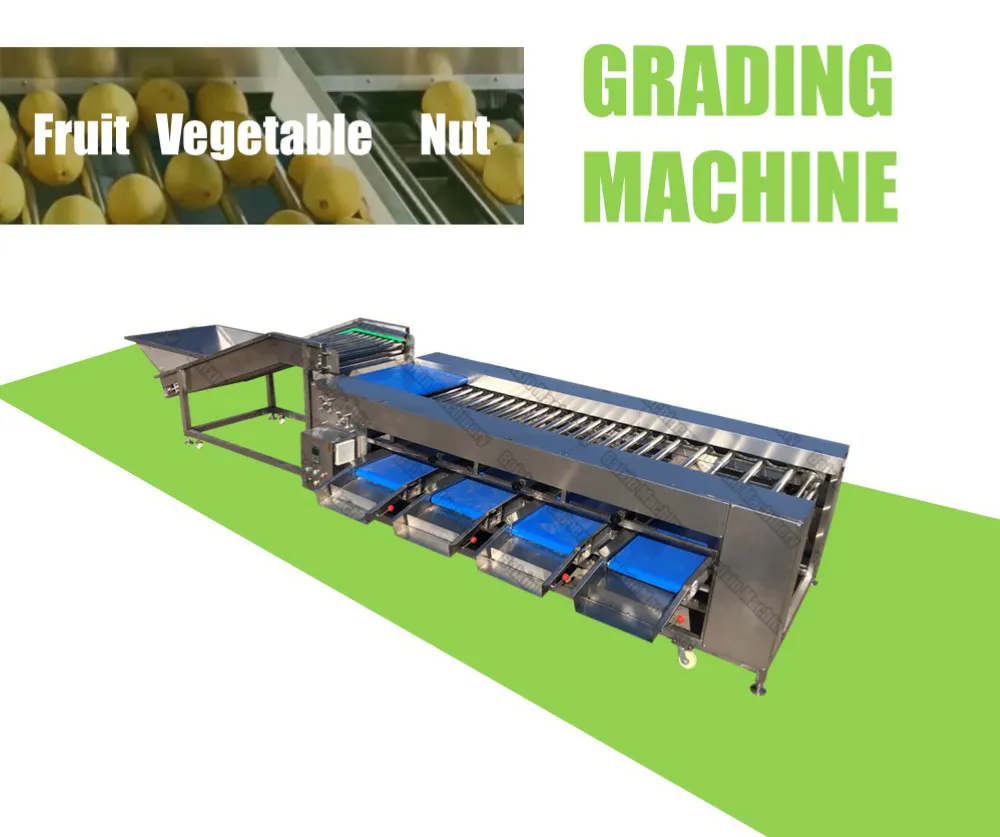 Automated Grading Machine