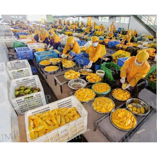 Mango Juice Extractor