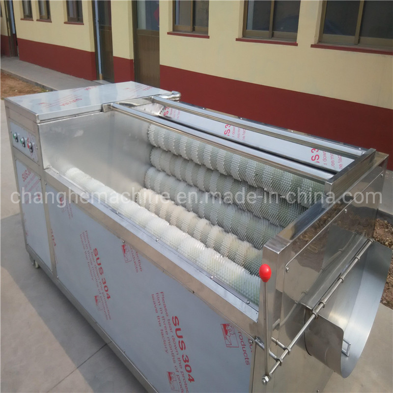 Fully Automatic Crayfish Peach Cleaning and Peeling Equipment Crayfish