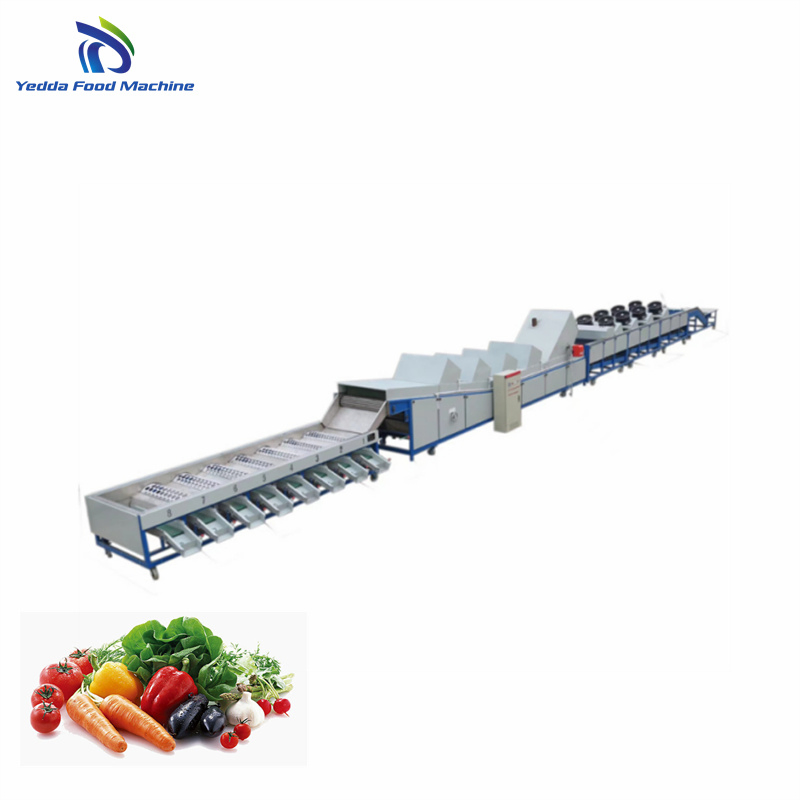 Advanced Automated Fruit and Vegetable Sorting System for Efficient Processing