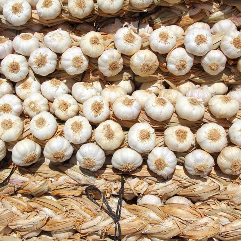 Hygienic Cleaning Line Dust Free Bulbs Standardized Normal Pure White/Red Fresh Garlic