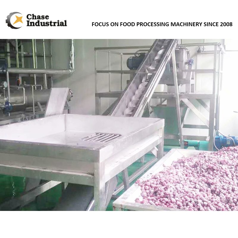 Berry Fruit Juice Processing Line Concentrated Processing System Fruit Puree Making Production System