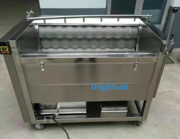 Cleaning Peeling Equipment Detail 2