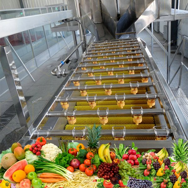 Brush Washer/Fruits and Vegetables Cleaning System