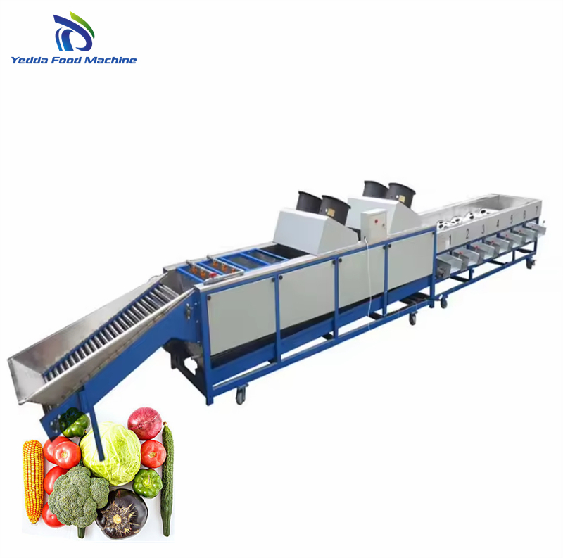 Advanced Automatic Fruit and Vegetable Quality Grading System