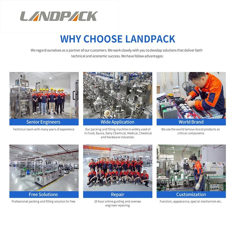 Fully Automatic Packing System Palletizer Machine Customize Palletizing Solutions