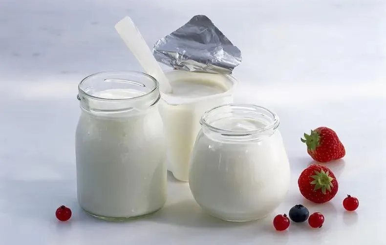 Yogurt Production Line