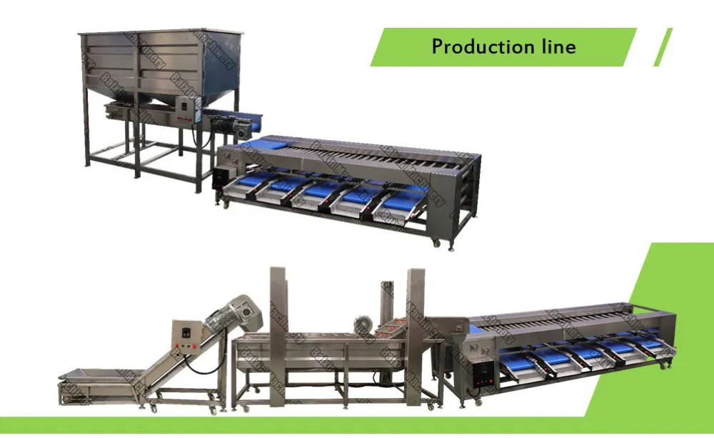 Production Line