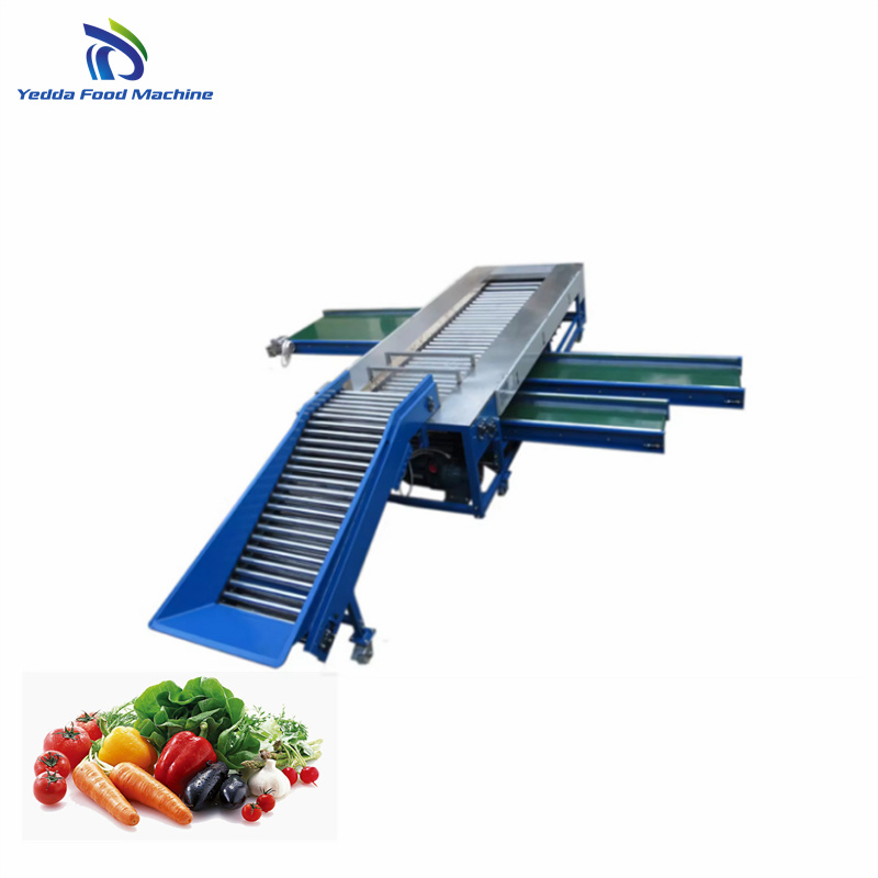 Premium Stainless Steel Produce Sorting System for Efficient Sorting