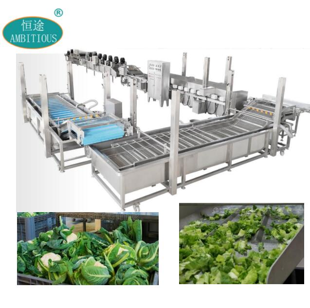 Automatic Vegetable Processing Line Salad Processing Line