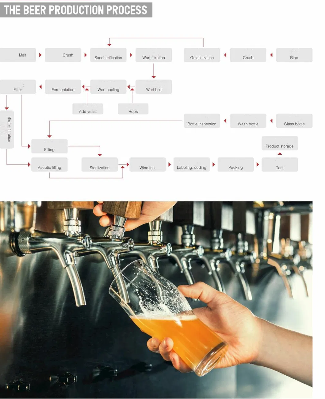 Beer Processing Line