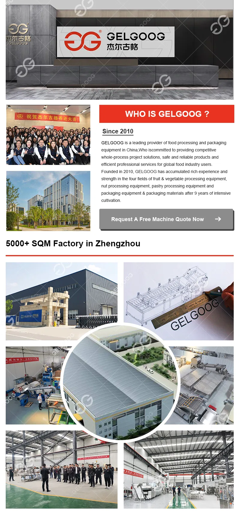 Frozen Fruit Production Line