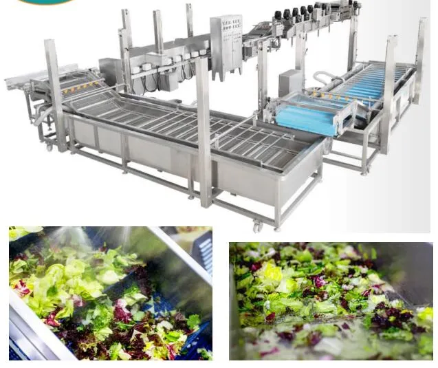 Full Automatic Washing Frozen Vegetable Production Line