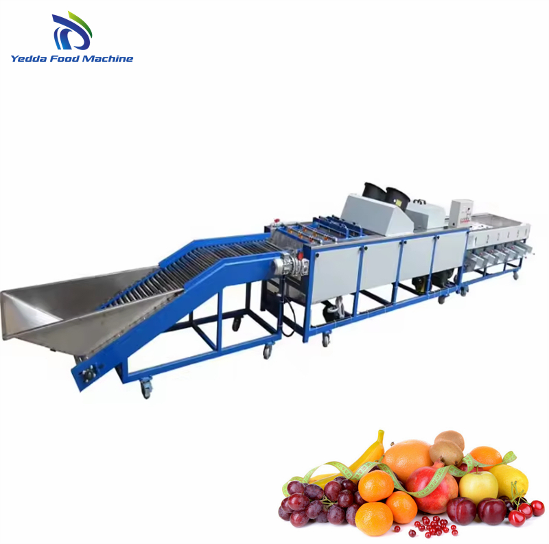 Dynamic Fruit and Vegetable Grading System