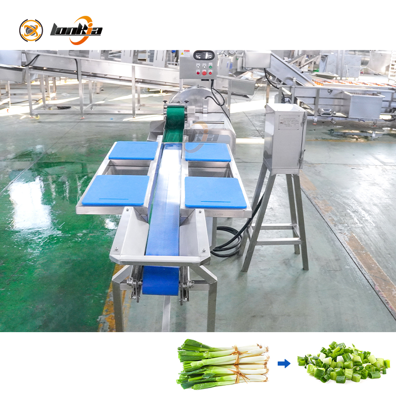 Iceberg Lettuce Sorting Conveyor Table Scallion Cutting Machine Vegetable Dicing Shredding Slicing Line