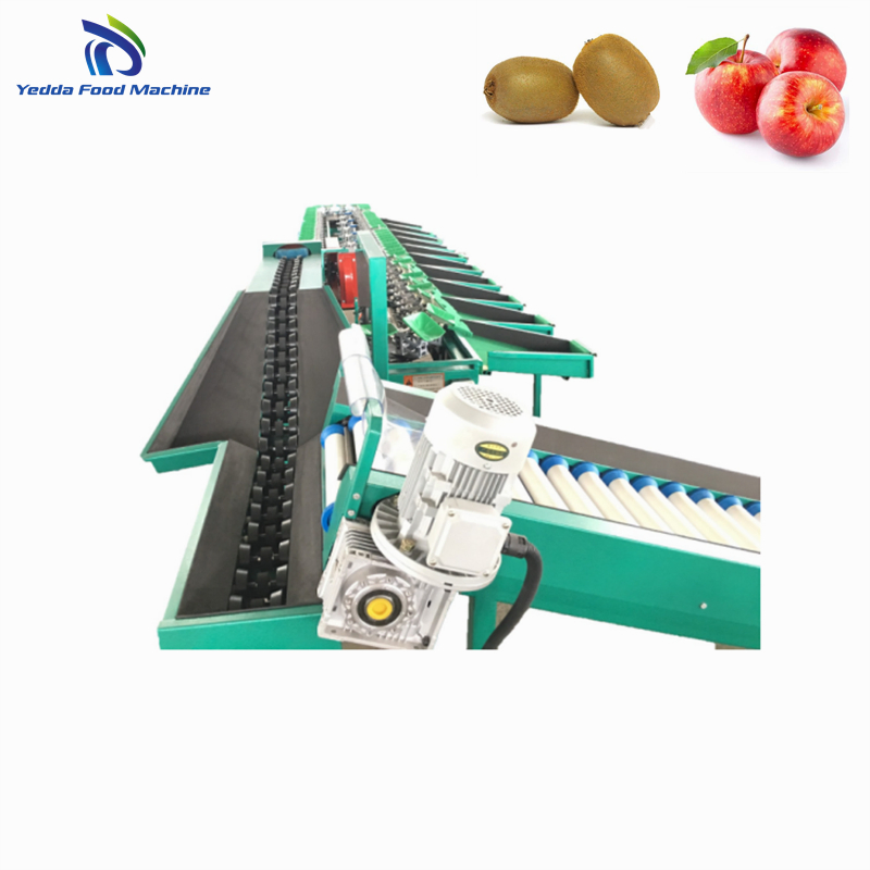 Avocado Grading System with Packing Features