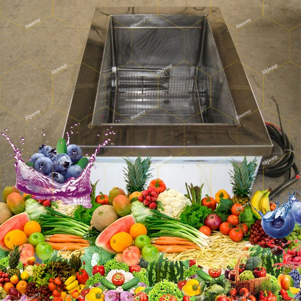 Ultrasonic Washer/Ultrasonic Cleaner/Fruits and Vegetables Cleaning System