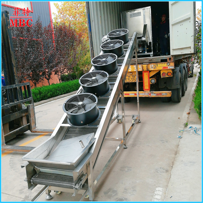 Hot Sale Automatic OEM Customized IQF French Fries Potato Chips Production Line