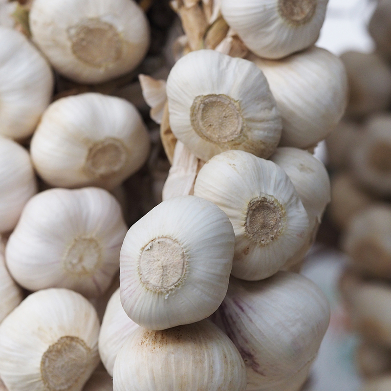 Hygienic Cleaning Line Dust Free Bulbs Standardized Normal Pure White/Red Fresh Garlic