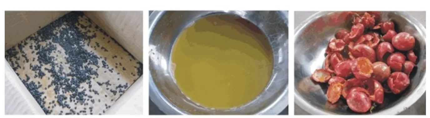 Finished Product Display