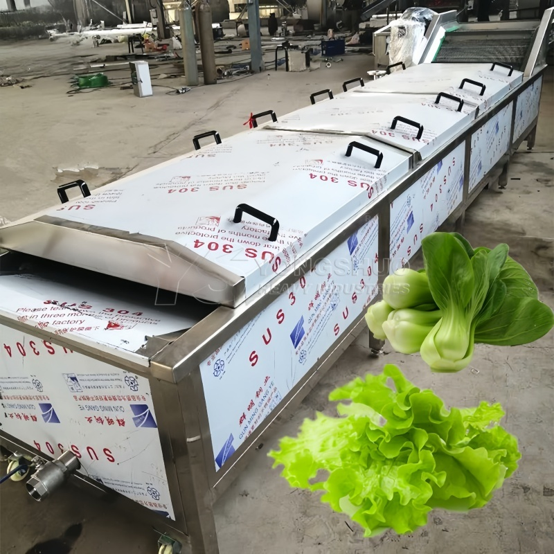 Juice Beverage Blanching Machine Production Line