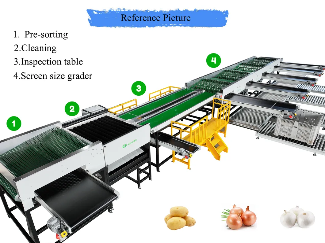 Washing Grading Packing