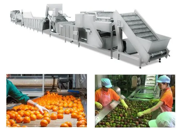 Continuous frozen fruit production line