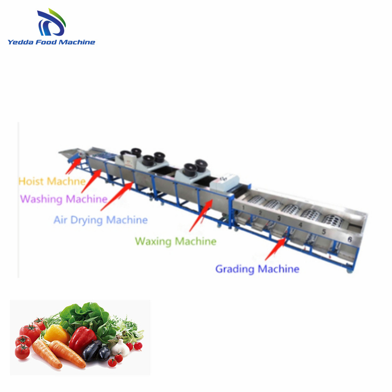 Advanced Automatic Potato and Onion Sorting System for Efficient Processing