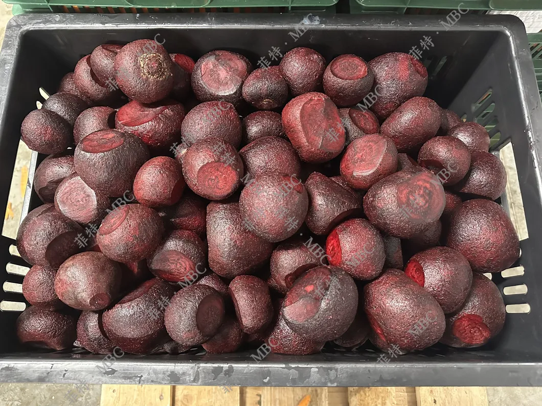 Industrial Cleaning Machine